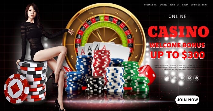 566bet