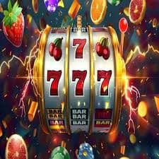 566bet