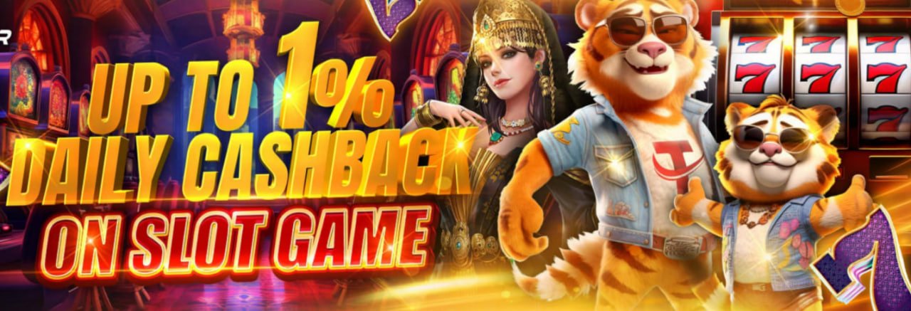 566bet
