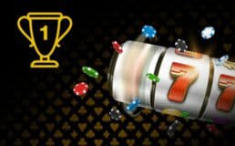 566bet